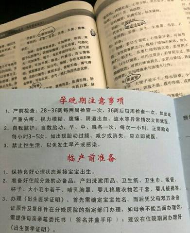 journal_insert_pic_1016366341