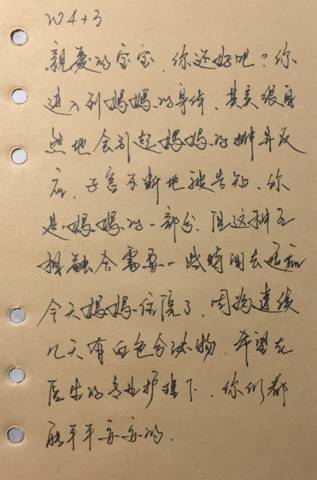 journal_insert_pic_1102904134