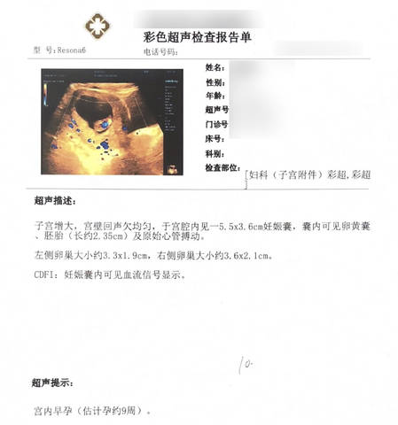 journal_insert_pic_1126844484