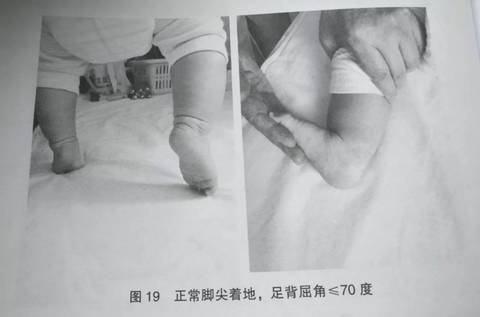 journal_insert_pic_1165088654