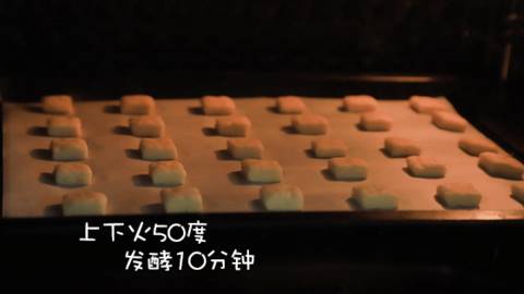 journal_insert_pic_1050437102