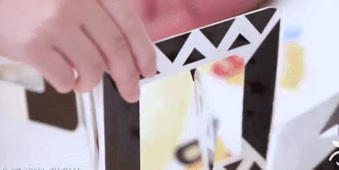 journal_insert_pic_1179494955