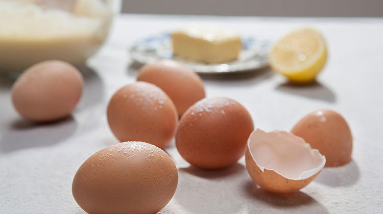 牛奶冲鸡蛋营养 好上加 好?错 饮食技巧4696