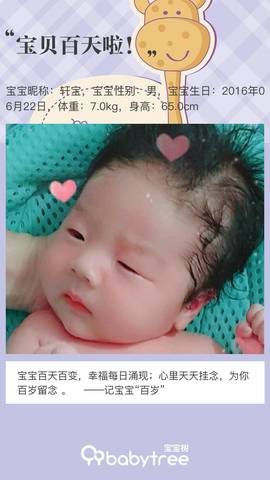 journal_insert_pic_1099318421