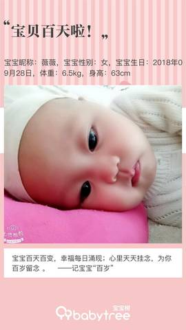 journal_insert_pic_1100993318