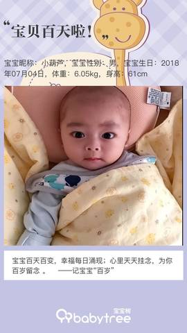 journal_insert_pic_1109442426