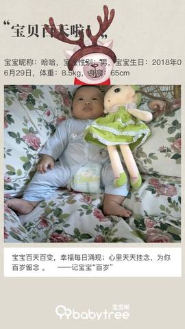 journal_insert_pic_1108969627