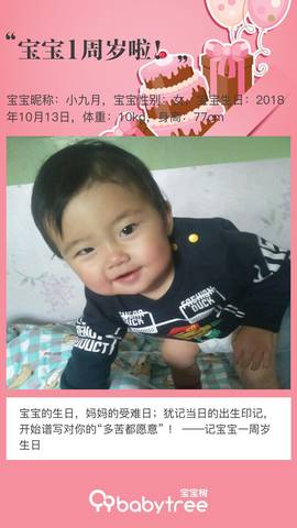 journal_insert_pic_1110849707