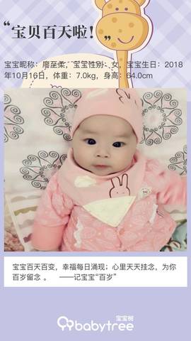 journal_insert_pic_1112591104