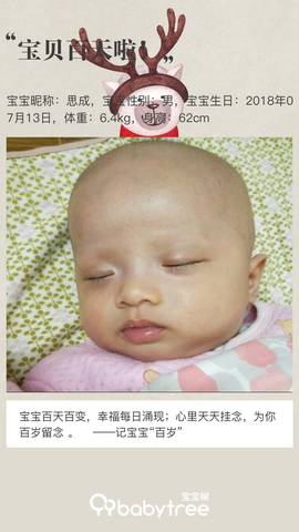 journal_insert_pic_1113444550