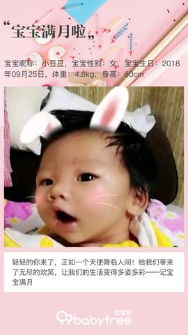 journal_insert_pic_1117089507