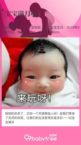 journal_insert_pic_1118735476