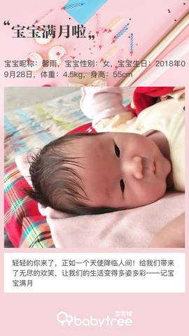 journal_insert_pic_1119145452