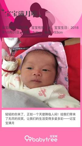 journal_insert_pic_1120919127