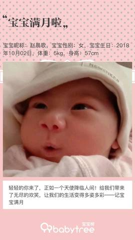 journal_insert_pic_1121559219