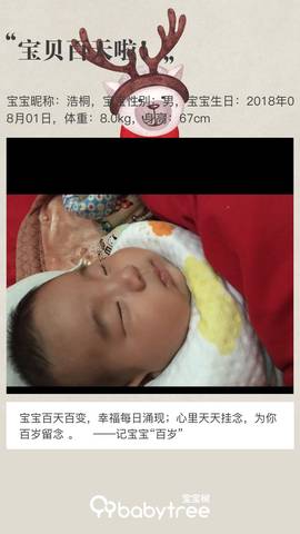 journal_insert_pic_1123130428