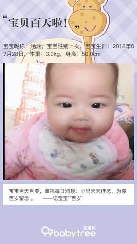 journal_insert_pic_1123538023