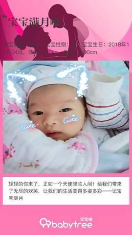 journal_insert_pic_1123744364