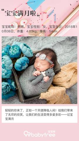 journal_insert_pic_1125075655