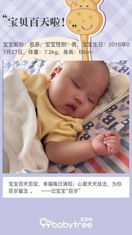 journal_insert_pic_1125591762