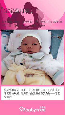 journal_insert_pic_1126587731