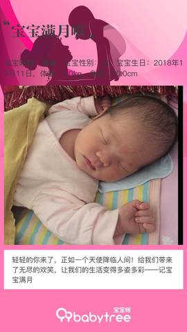 journal_insert_pic_1126408904