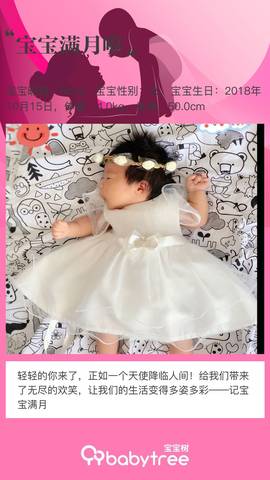 journal_insert_pic_1128685349