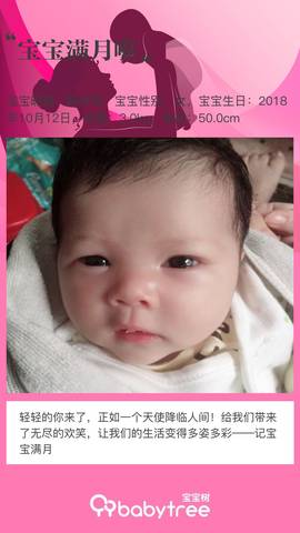 journal_insert_pic_1128951304