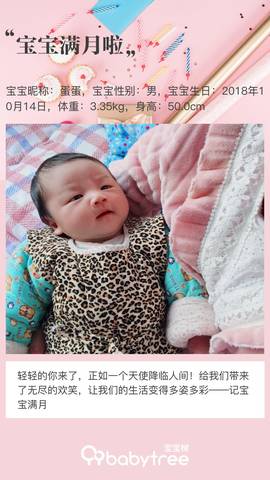 journal_insert_pic_1129348241