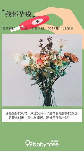 journal_insert_pic_1129448491