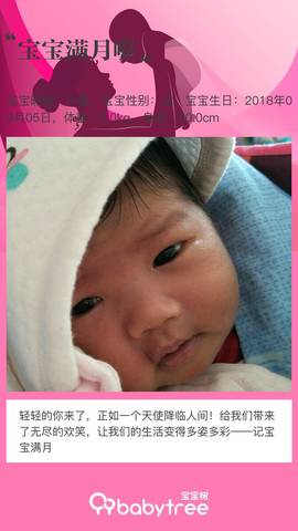 journal_insert_pic_1129377040