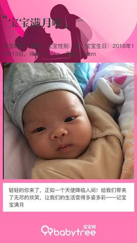 journal_insert_pic_1130297375