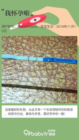 journal_insert_pic_1129980346