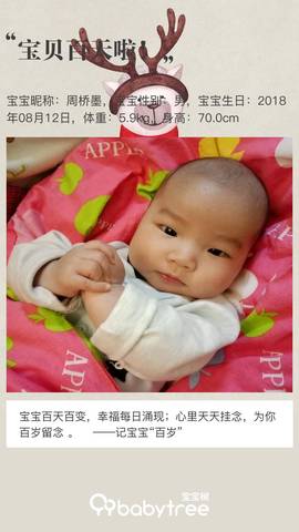 journal_insert_pic_1130976328