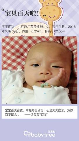 journal_insert_pic_1131443201