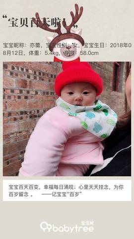 journal_insert_pic_1132979840