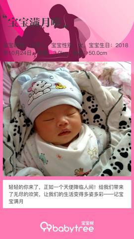 journal_insert_pic_1133072405
