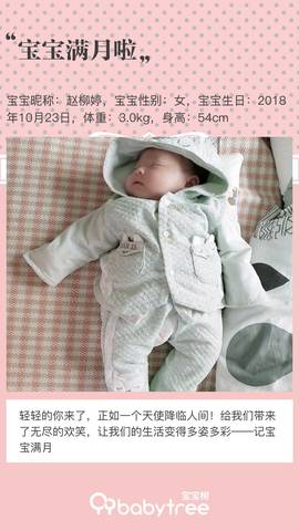 journal_insert_pic_1134467651
