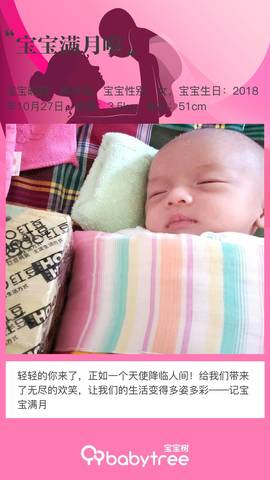 journal_insert_pic_1136576520