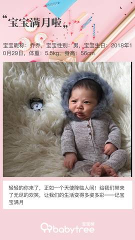 journal_insert_pic_1136215259
