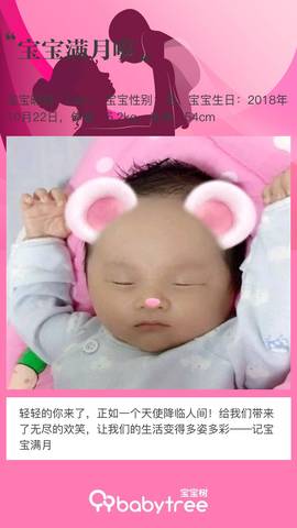 journal_insert_pic_1136853337