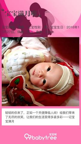 journal_insert_pic_1136566907
