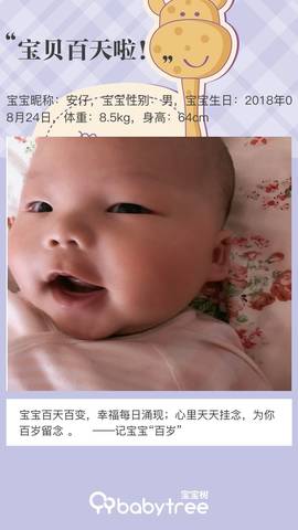journal_insert_pic_1137374237