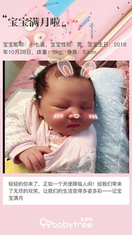 journal_insert_pic_1137318283
