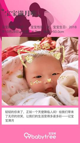 journal_insert_pic_1137389498