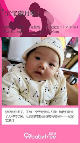 journal_insert_pic_1138297379