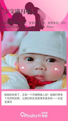 journal_insert_pic_1138493548