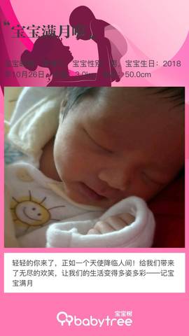 journal_insert_pic_1138345894