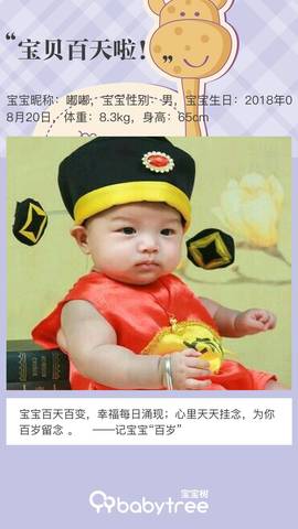 journal_insert_pic_1139242195