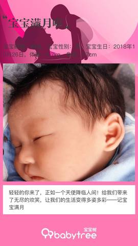 journal_insert_pic_1138902125